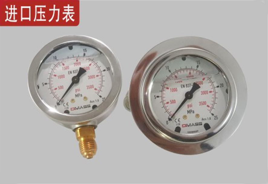 進(jìn)口壓力表.jpg